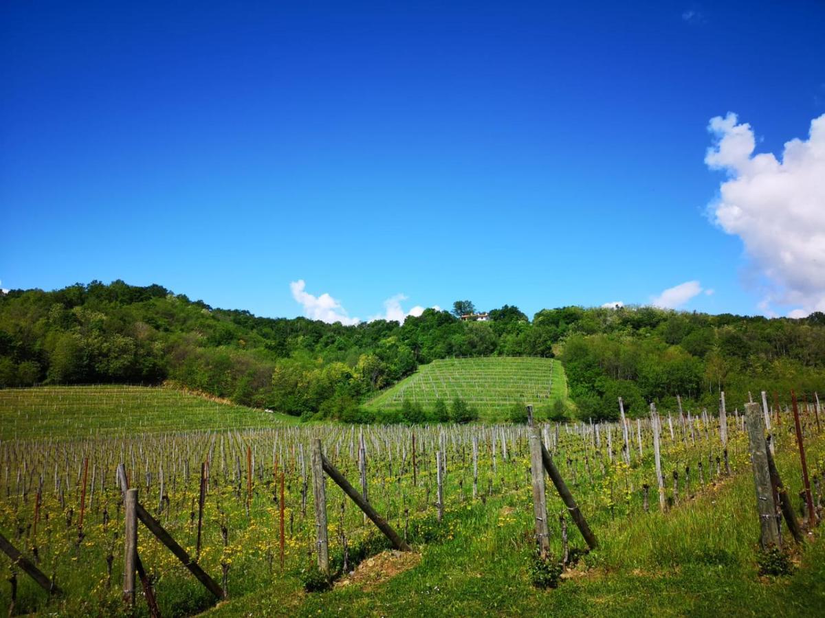 Il Roncal Wine Resort - For Wine Lovers Cividale del Friuli Exterior foto