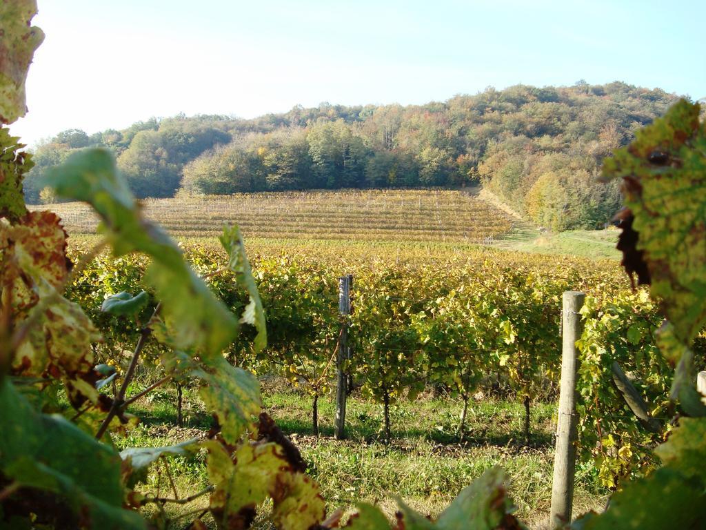Il Roncal Wine Resort - For Wine Lovers Cividale del Friuli Exterior foto