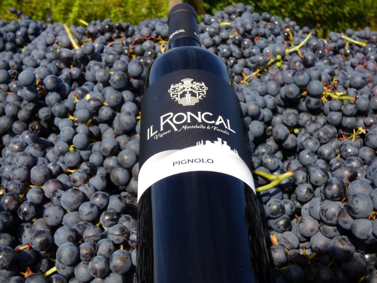 Il Roncal Wine Resort - For Wine Lovers Cividale del Friuli Exterior foto