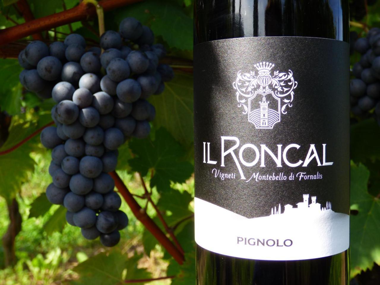 Il Roncal Wine Resort - For Wine Lovers Cividale del Friuli Exterior foto